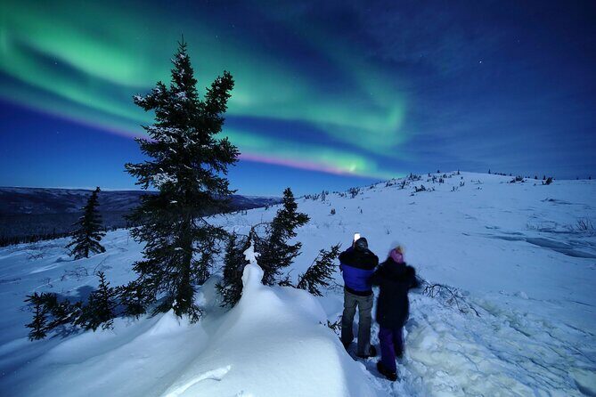 Best Northern Lights Aurora Adventure FREE Portraits & Hot Pizza - Comfort & Safety Measures