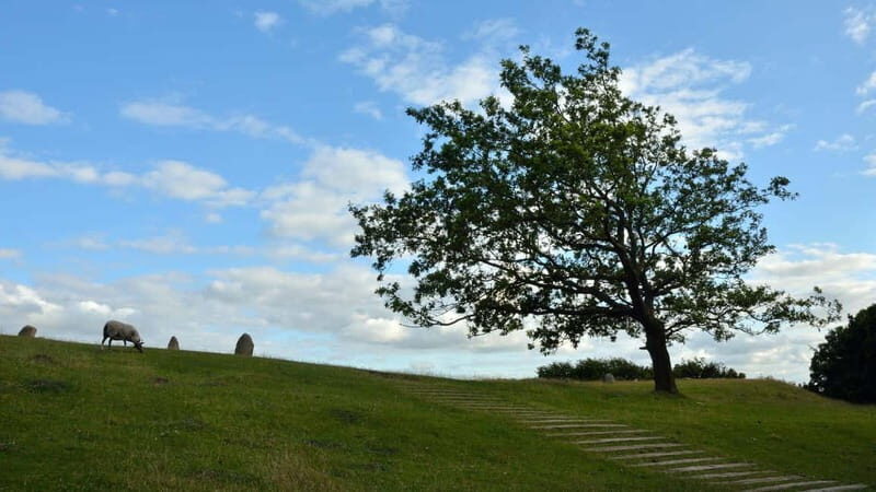 Best of Aalborg: Private Walking Tour with a Local - Who Would Love This Tour?