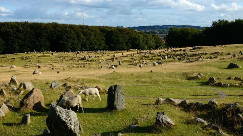 Best of Aalborg: Private Walking Tour with a Local - The Sum Up