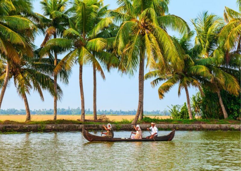 Best of Alleppey (Guided Full Day Sightseeing Tour by Car) - Religious and Cultural Landmarks