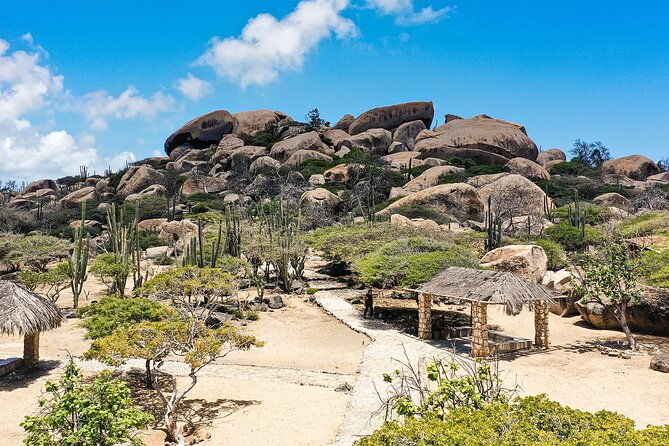 best-of-aruba-by-bus