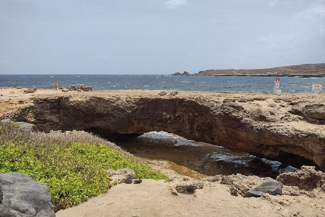 best-of-aruba-island-and-beach-tour-on-a-bus-in-aruba