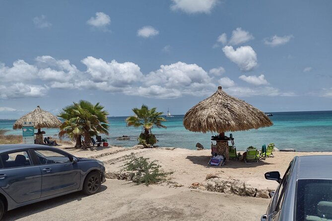 best-of-aruba-island-and-beach-tour-on-a-bus-in-aruba