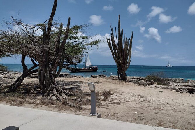 best-of-aruba-island-and-beach-tour-on-a-bus-in-aruba