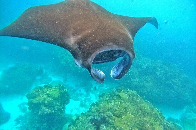 Best Of Bali 3 Days Bali Adventure Tour Package - Exploring the Day-by-Day Itinerary