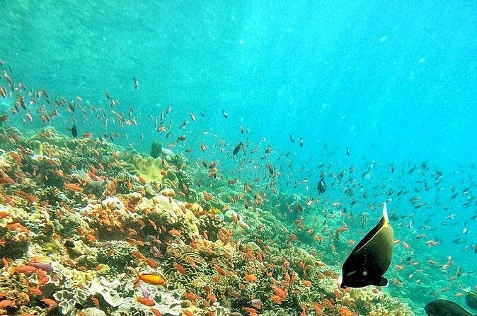 Best Of Bali 3 Days Bali Adventure Tour Package - Final Thoughts: Is This Tour Right for You?