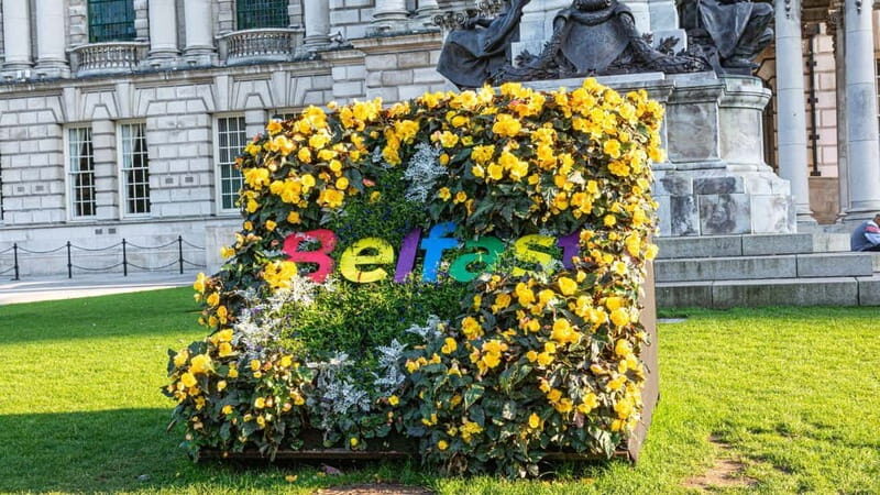 Best of Belfast: Private Walking Tour with a Local - Introduction