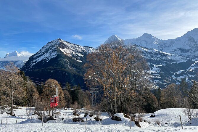 Best of Bernese Oberland & Swiss Countryside Tour - What Makes This Tour Stand Out?