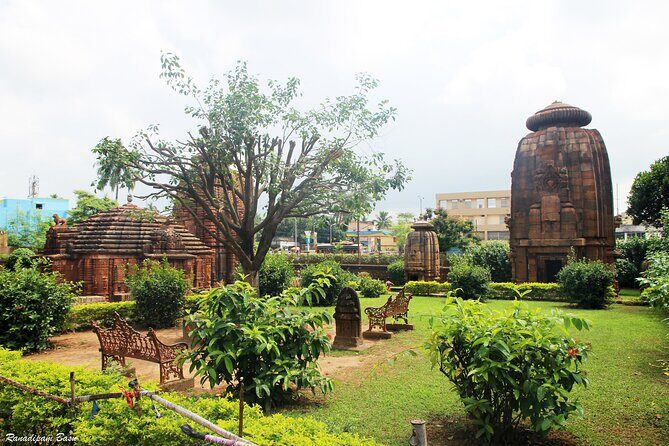Best of Bhubaneswar (Guided Halfday Sightseeing Tour by Car) - Key Points