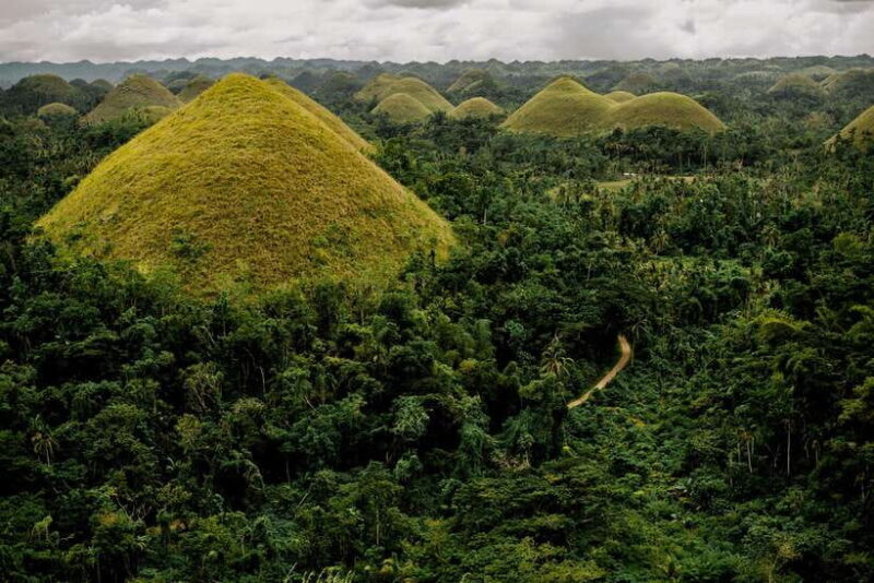 BEST OF BOHOL: Chocolate Hills & Tarsier w Lunch at Loboc - Authentic Experiences and Traveler Insights