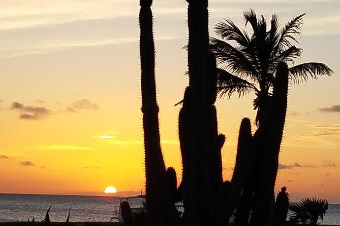 best-of-bonaire-full-island-tour-with-a-local