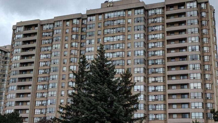 best-of-brampton-private-walking-tour-with-a-local