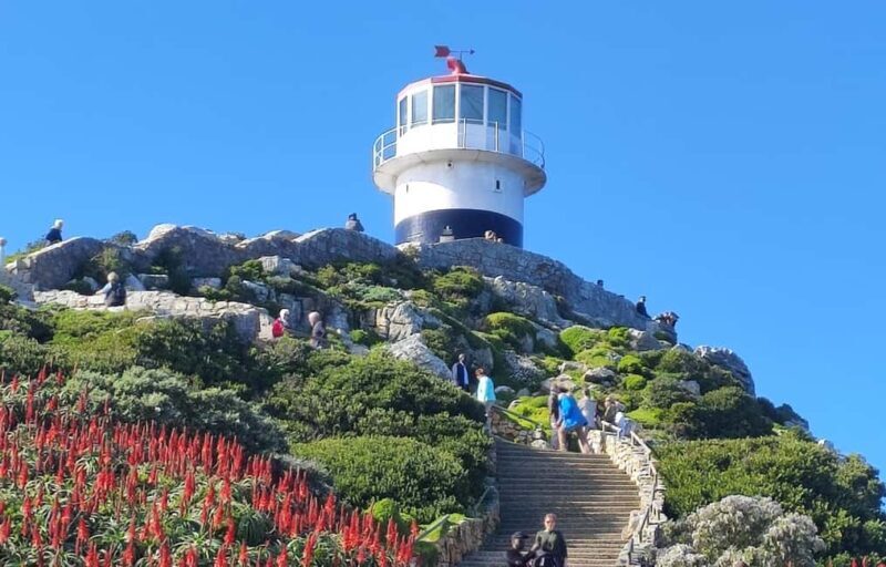 Best of Cape Private Tour Cape Point+Penguins+Table Mountain - Who will love this tour?