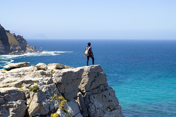 Best of Cape Town Cape Point and Wineries Combined Private Tour - Practical Details & Value