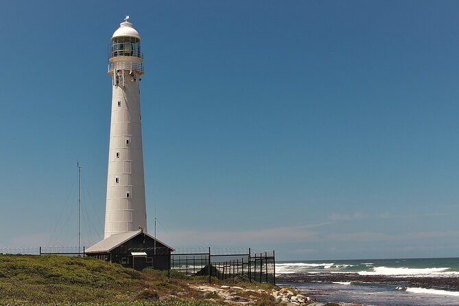 Best of Cape Town Cape Point and Wineries Combined Private Tour - The Sum Up
