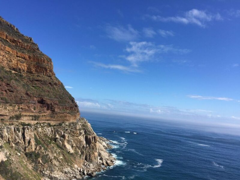 Best of Cape Town In A Day (Cape Point, Penguins and more) - Practical Tips & Considerations  