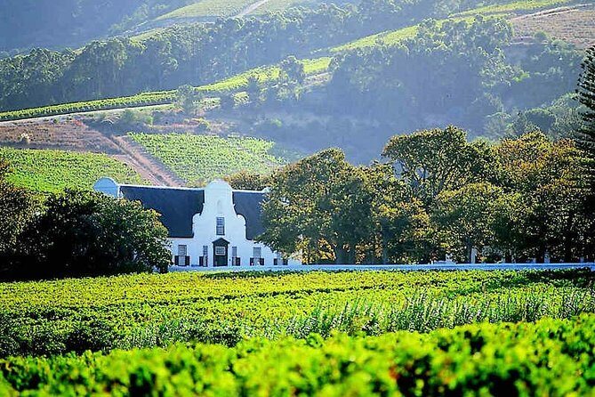 Best of Cape Town Wines - Cape Winelands Tour - Authentic Insights from Reviews
