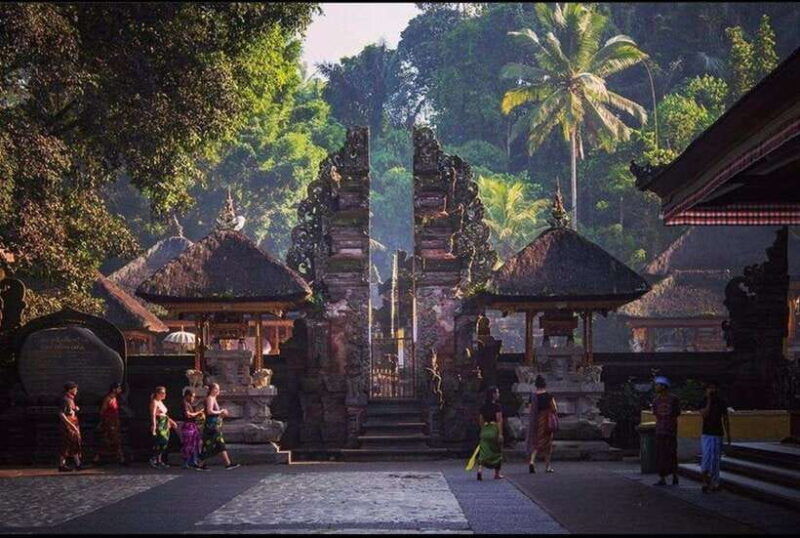 best-of-central-bali-holy-water-elephant-cave-rice-fields