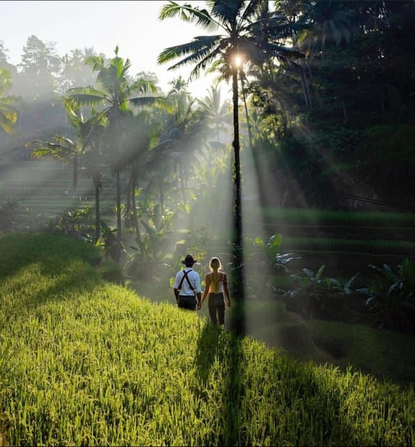 best-of-central-bali-holy-water-elephant-cave-rice-fields