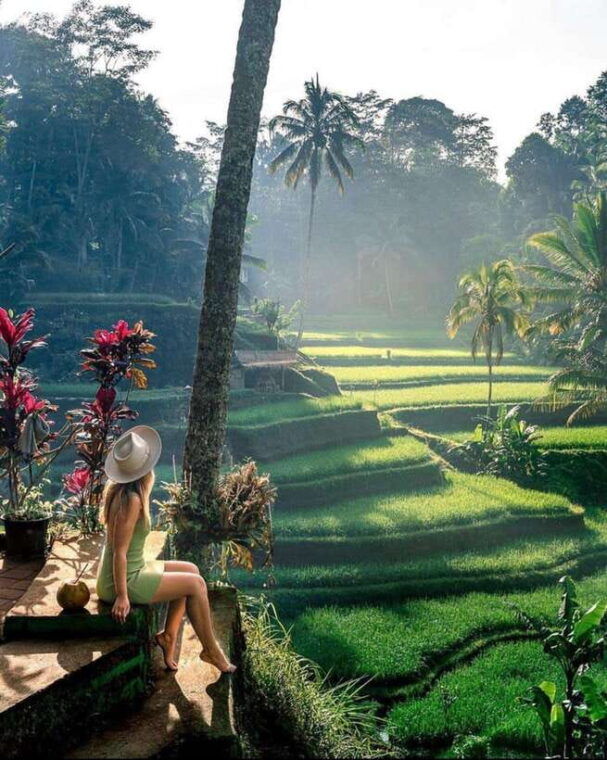 best-of-central-bali-holy-water-elephant-cave-rice-fields