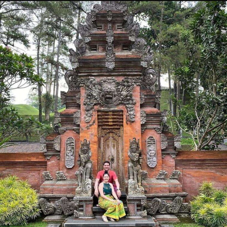 best-of-central-bali-holy-water-elephant-cave-rice-fields