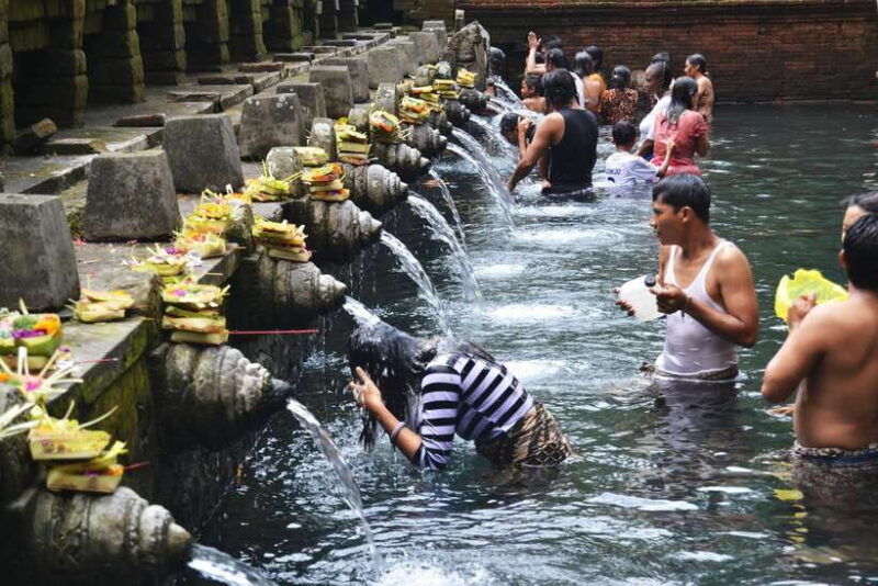 best-of-central-bali-waterfall-elephant-cave-rice-fields