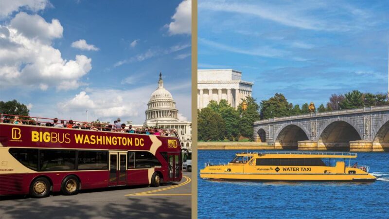 Best of DC: Hop-on Hop-off Bus Tour & Night Tour (Save 40%) - Key Points