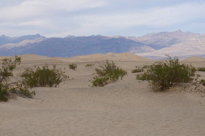 best-of-death-valley-small-group-day-tour-from-las-vegas