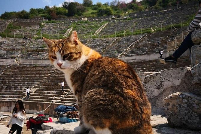 best-of-ephesus-tour-2
