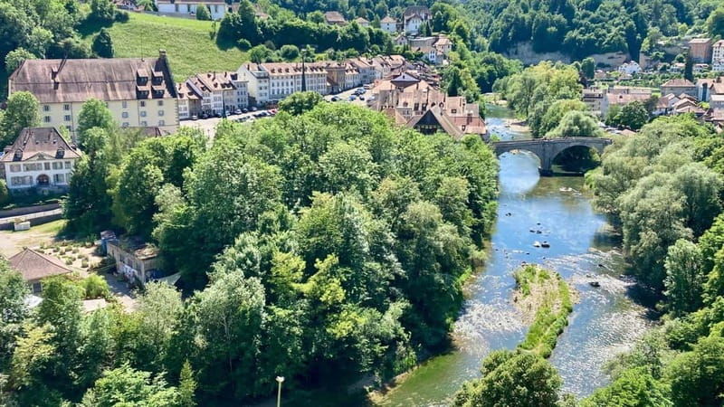 Best of Fribourg: Private Walking Tour with a Local - Practical Details & Value