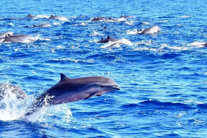 best-of-full-day-snorkeling-beach-excursion-with-lunch-drinks