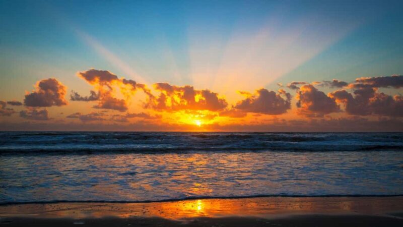Best of Gold Coast: Private Walking Tour with a Local - Final Thoughts