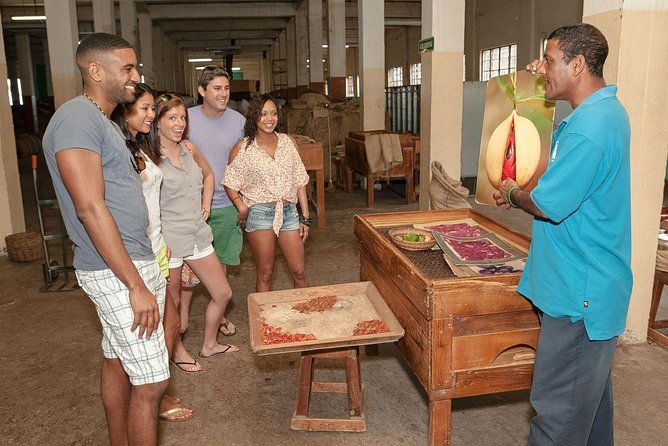 best-of-grenada-historical-spice-tour-and-annandale-waterfall