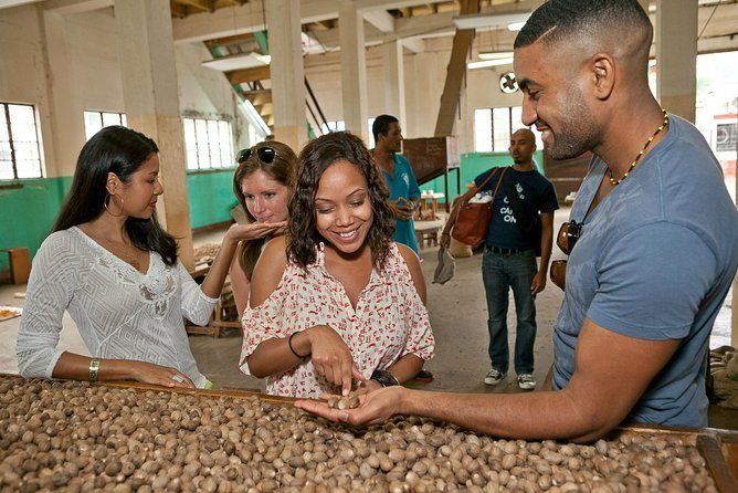 best-of-grenada-historical-spice-tour-and-annandale-waterfall