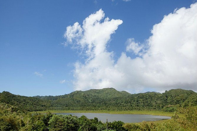 best-of-grenada-historical-spice-tour-and-annandale-waterfall