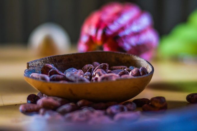 best-of-grenada-waterfalls-chocolate-nutmeg-history-lunch