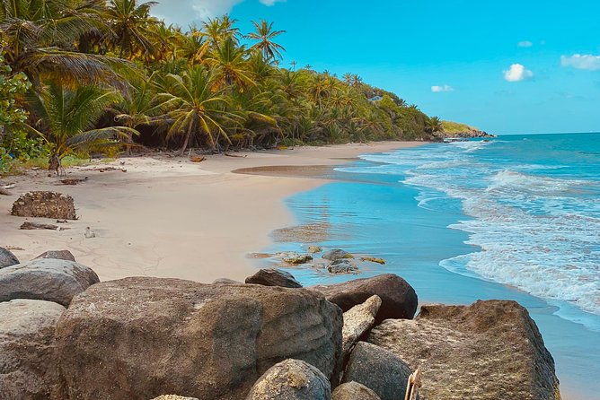 best-of-grenada-waterfalls-chocolate-nutmeg-history-lunch