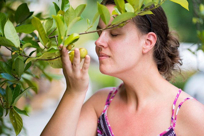 best-of-grenada-waterfalls-chocolate-nutmeg-history-lunch