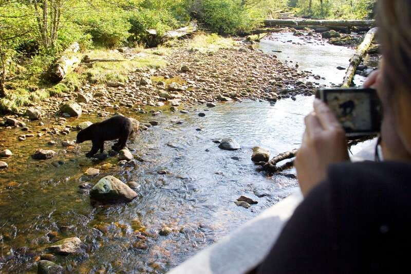 best-of-kananaskis-private-safari-tour-custom-nature-walk