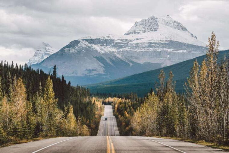 best-of-kananaskis-private-safari-tour-custom-nature-walk