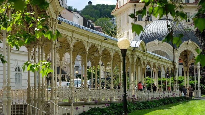 Best of Karlovy Vary Walking Tour with a Professional Guide - Key Points
