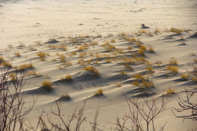 best-of-klaipeda-curonian-spit-join-in-shore-excursion
