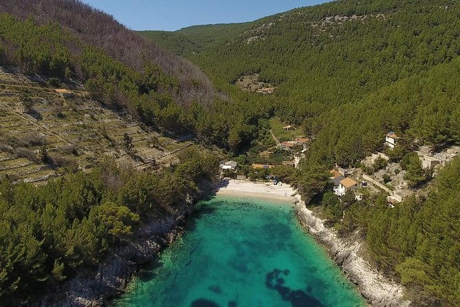 best-of-korcula-island-winerys-by-4x4-canam-buggys