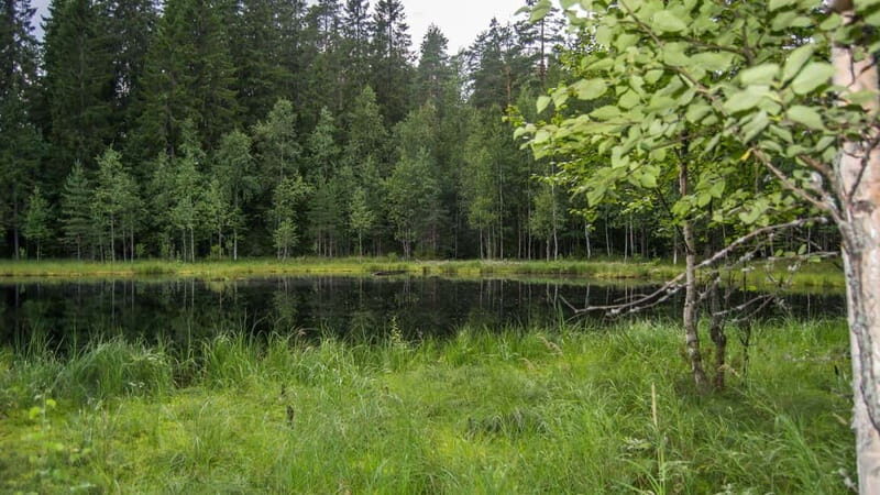 Best of Kuopio: Private Walking Tour with a Local - Practical Tips for Your Tour
