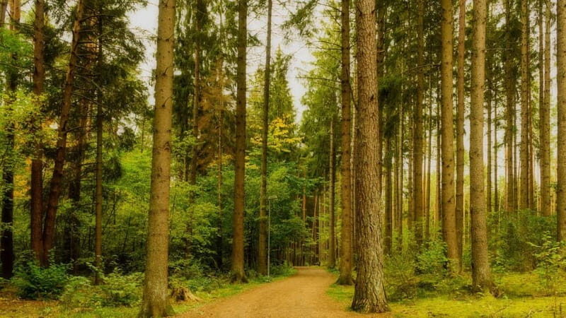Best of Linköping: Private Walking Tour with a Local - Who Should Consider This Tour?