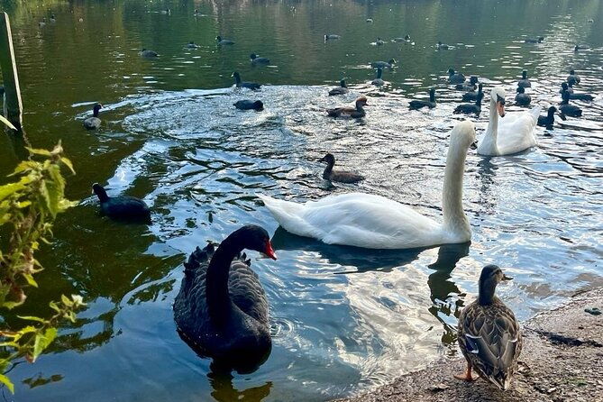best-of-london-tour-tower-of-london-and-churchill-war-rooms