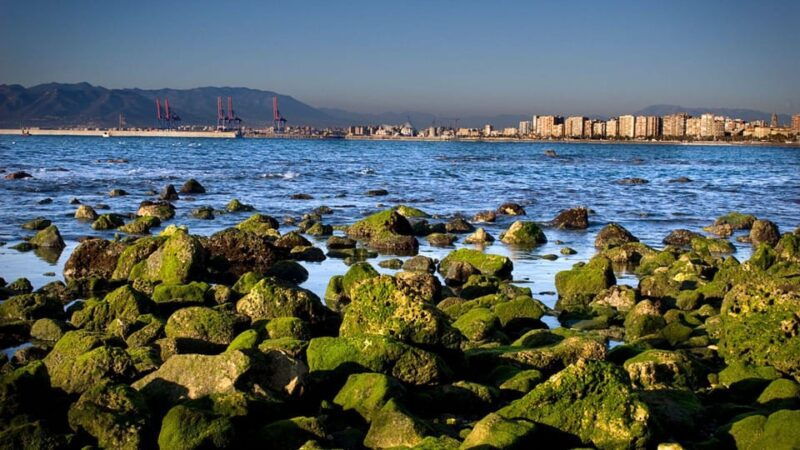 best-of-malaga-private-walking-tour-with-a-local