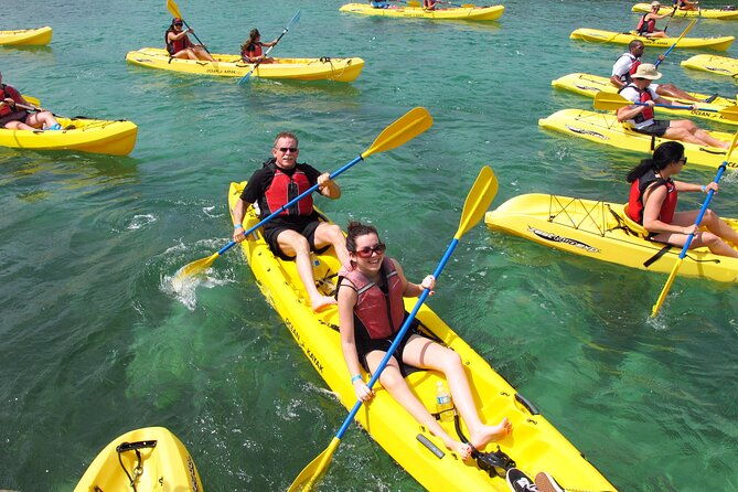 best-of-mangrove-lagoon-kayak-hike-and-snorkel-adventure-with-picnic-lunch