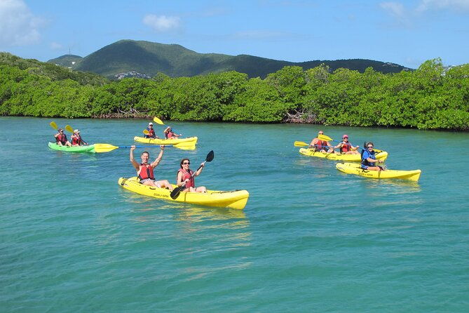 best-of-mangrove-lagoon-kayak-hike-and-snorkel-adventure-with-picnic-lunch