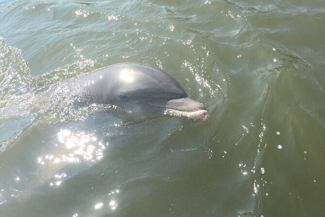 Best of Marco Island Tour - The Small-Group Advantage
